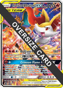 Charizard and Braixen GX SM230 SM Black Star Promo (SM230) [PR]