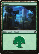 Forest 287 (287) [THB]