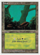 Forest A (304) [SUM]