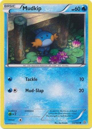 Mudkip 33 160 Sheen Holo (033/160) [MCAP]