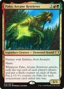 Pako Arcane Retriever (13) [C20]