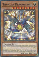 Thunder Dragonlord (ETCO-EN025) [ETCO]