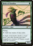 Birds of Paradise 92 (92) [SLD]