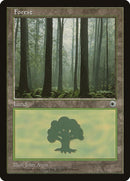 Forest Ferns on Ground (205) [POR]