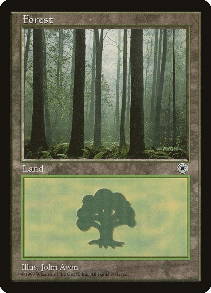 Forest Ferns on Ground (205) [POR]