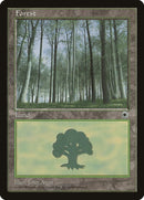 Forest Pale Trees (206) [POR]