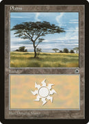 Plains No Flowers (217) [POR]
