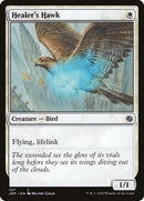 Healers Hawk (107) [JMP]
