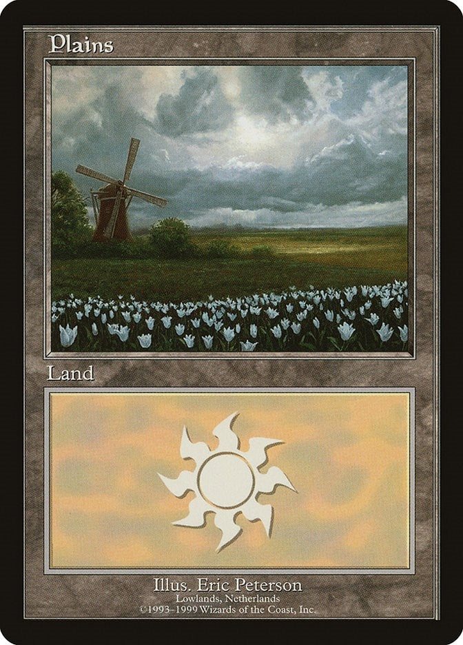 Plains Lowlands Netherlands (9) [EURO]