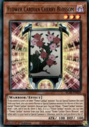 Flower Cardian Cherry Blossom (BLAR-EN029) [BLAR]