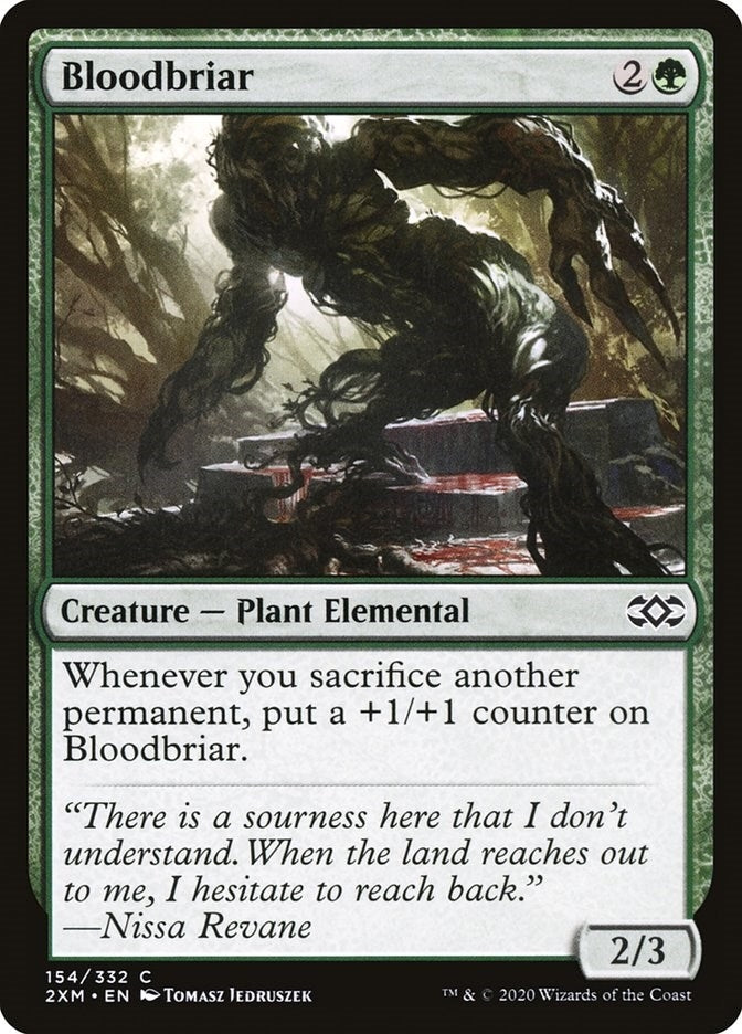 Bloodbriar (154) [2XM]