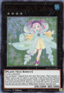Rikka Queen Strenna (ROTD-EN046) [ROTD]