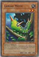 Larvae Moth (MRD-007) [MRD]