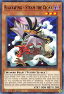 Blackwing Steam the Cloak (DLCS-EN030) [DLCS]
