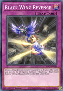Black Wing Revenge (DLCS-EN033) [DLCS]