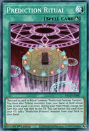 Prediction Ritual (DLCS-EN087) [DLCS]