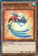 Aquaactress Tetra (DLCS-EN090) [DLCS]
