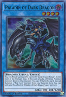 Paladin of Dark Dragon Green (DLCS-EN069) [DLCS]