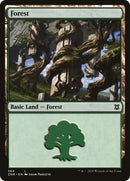 Forest (384) [ZNR]