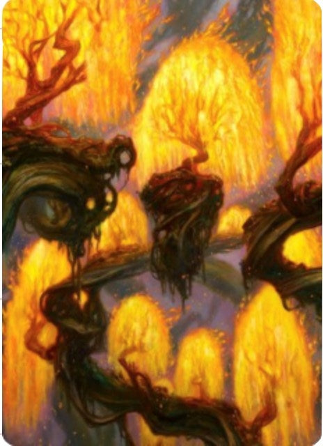 Grove of the Burnwillows Art Card (34) [ASZNR]