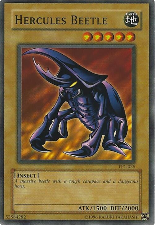 Hercules Beetle (TP1-025)