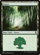 Forest 510 (510) [CMR]