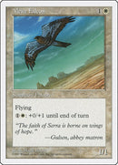 Mesa Falcon [Fifth Edition]