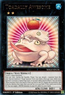 Toadally Awesome (MAGO-EN134) [MAGO]