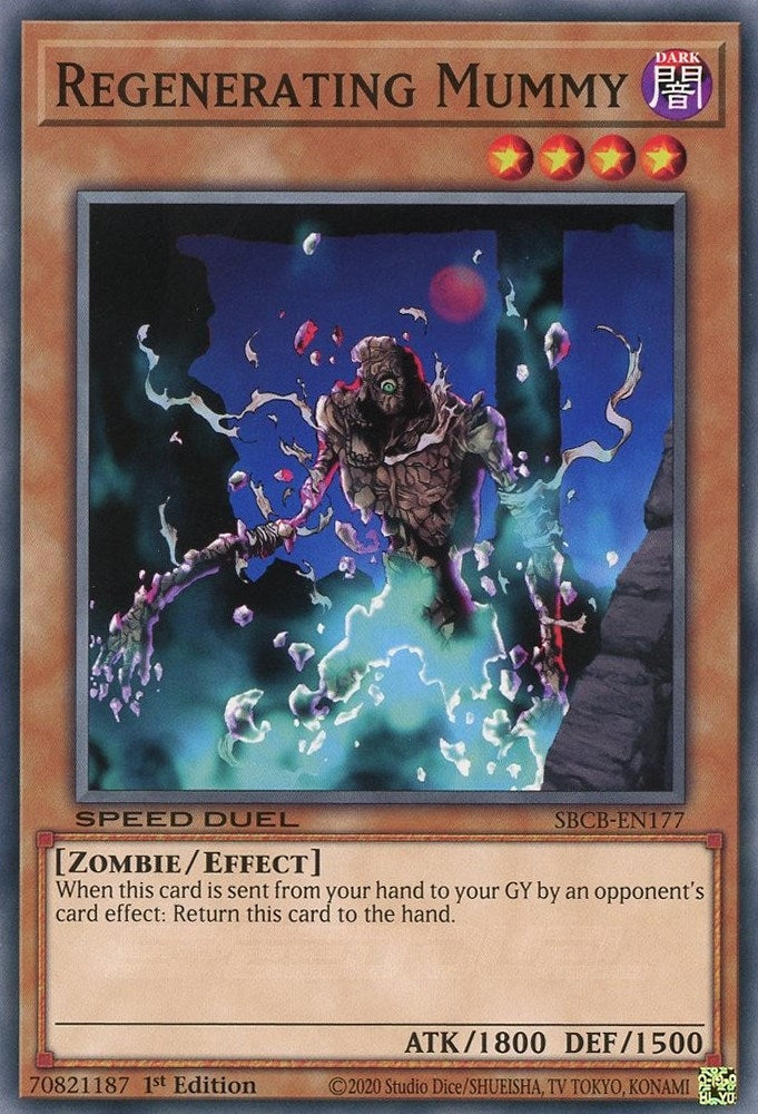 Regenerating Mummy (SBCB-EN177) [SBCB]