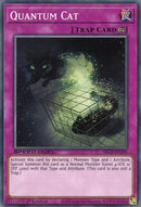 Quantum Cat (SBCB-EN200) [SBCB]