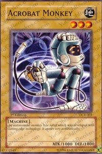 Acrobat Monkey (DCR-003)
