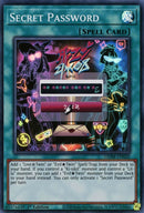 Secret Password (GEIM-EN020) [GEIM]