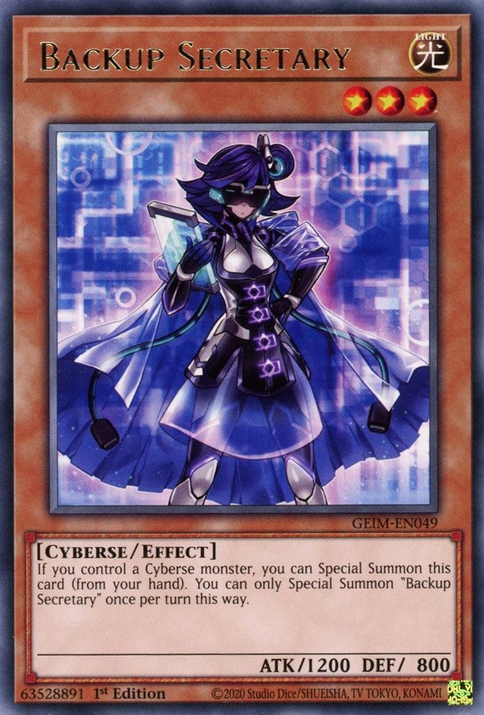Backup Secretary (GEIM-EN049) [GEIM]
