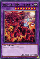 Invoked Magellanica (GEIM-EN056) [GEIM]