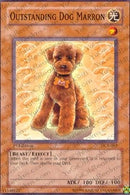 Outstanding Dog Marron (DCR-062)
