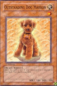 Outstanding Dog Marron (DCR-062)