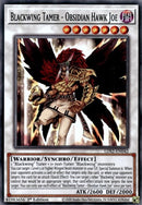 Blackwing Tamer Obsidian Hawk Joe (LDS2-EN042) [LDS2]