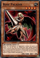 Rose Paladin (LDS2-EN106) [LDS2]