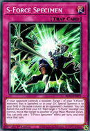 S Force Specimen (BLVO-EN071) [BLVO]