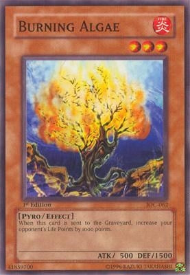 Burning Algae (IOC-062)