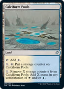 Calciform Pools (275) [TSR]