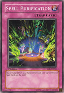 Spell Purification (RDS-EN058)