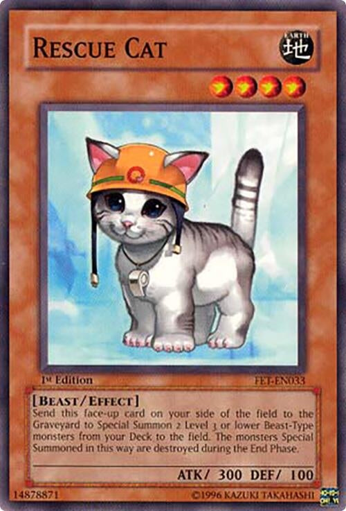 Rescue Cat (FET-EN033)