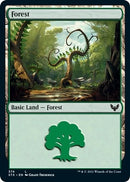 Forest 374 (374) [STX]