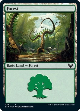 Forest 374 (374) [STX]