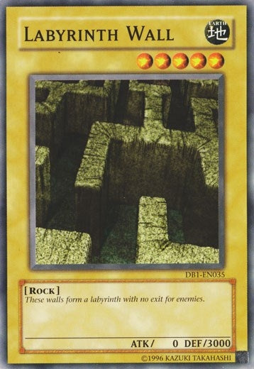 Labyrinth Wall (DB1-EN035) [DB1]