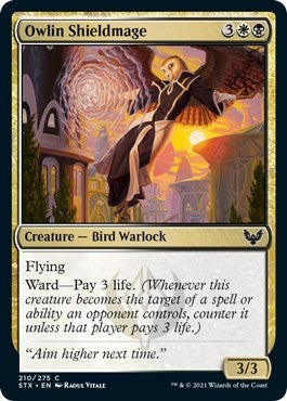 Owlin Shieldmage [Strixhaven: School of Mages]