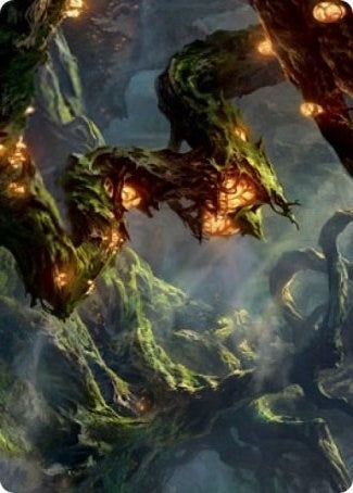 Forest Art Card (50) [ASSTX]