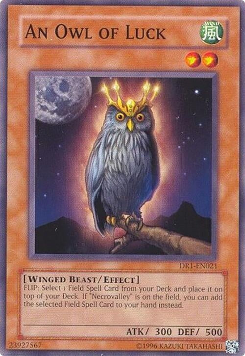 An Owl of Luck (DR1-EN021)