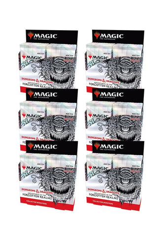 Adventures in the Forgotten Realms Collector Booster Display Case () [AFR]